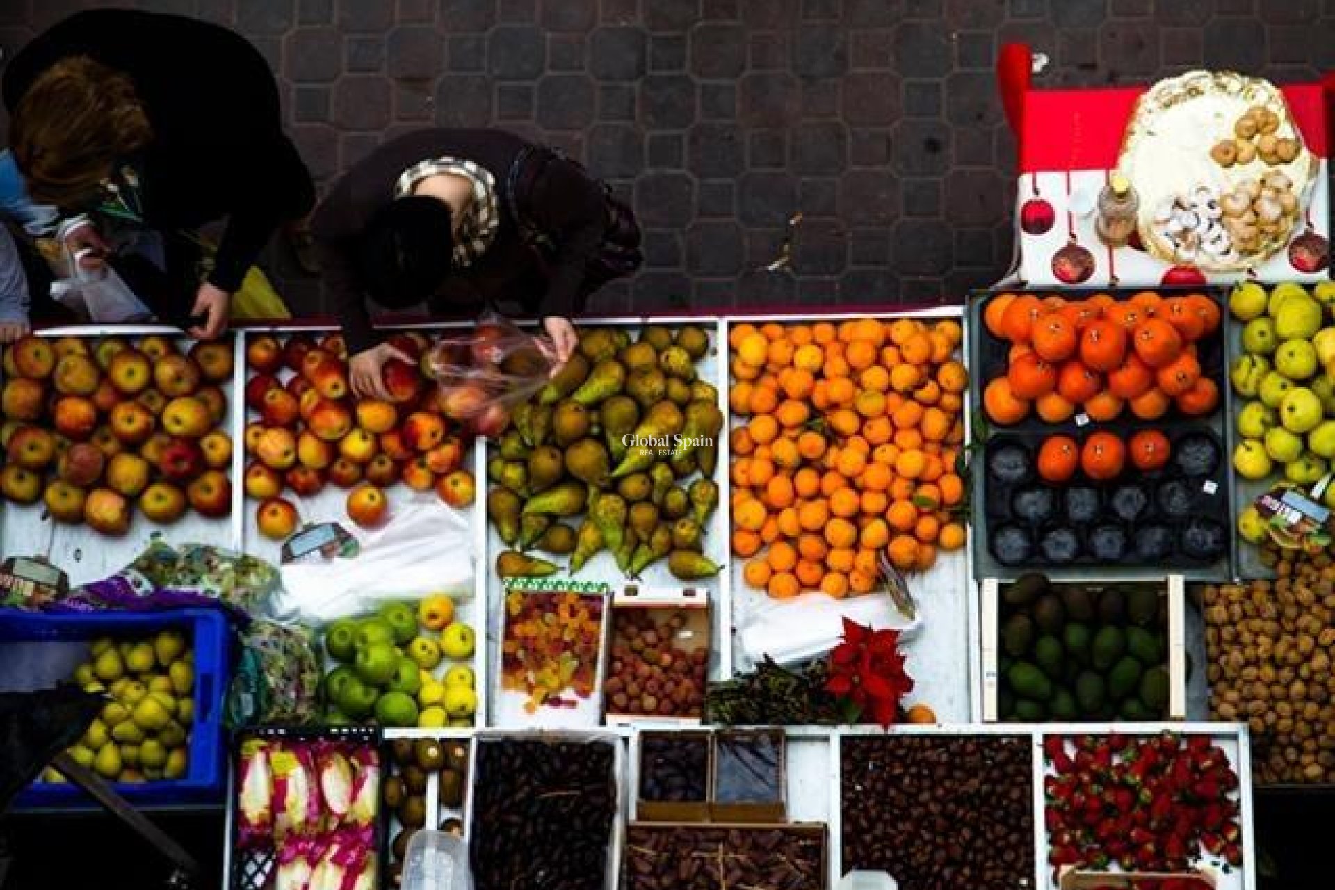 Nouvelle construction - MAISON -
DOLORES