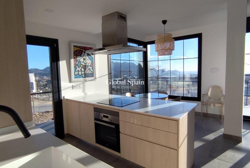 Nouvelle construction - MAISON -
POLOP - PAU1