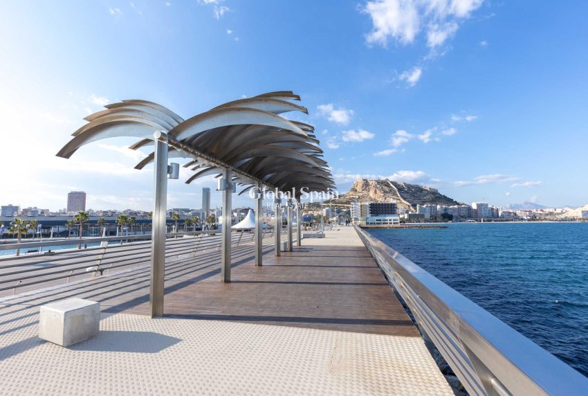 Nouvelle construction - Penthouse -
ALICANTE - Centro