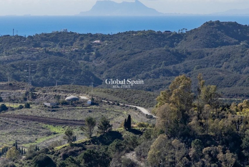 Nouvelle construction - PENTHOUSE -
BENAHAVÍS - Parque Botanico