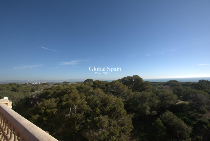 Nouvelle construction - PENTHOUSE -
GUARDAMAR DEL SEGURA