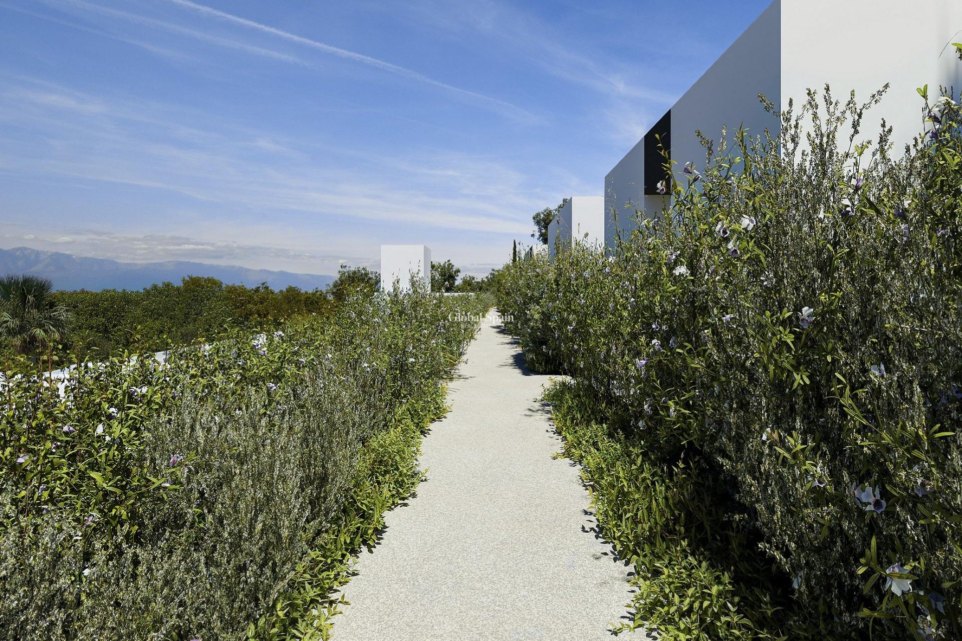 Nouvelle construction - VILLA -
ALFAZ DEL PI - Barranc Fondo