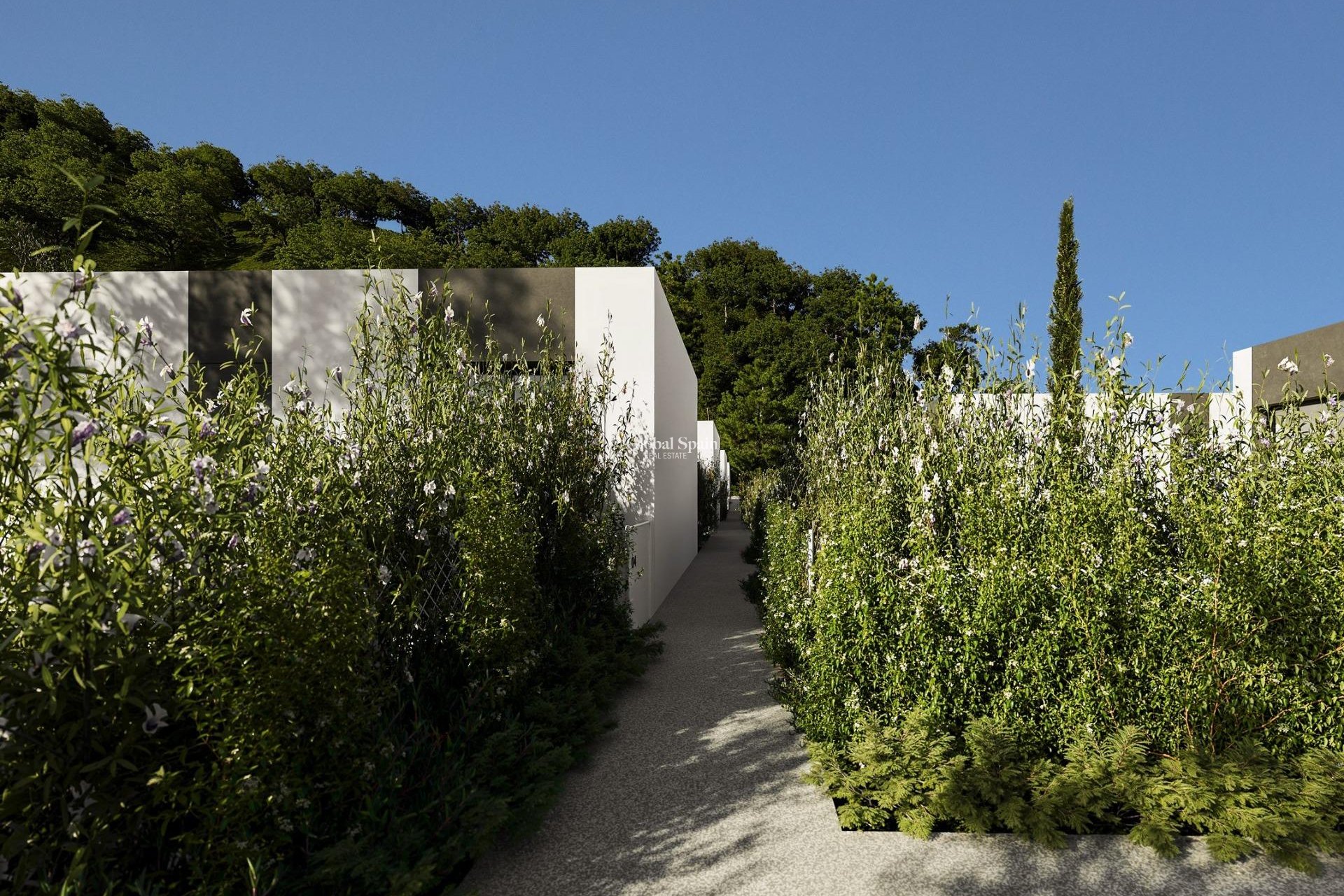 Nouvelle construction - VILLA -
ALFAZ DEL PI - Barranc Fondo