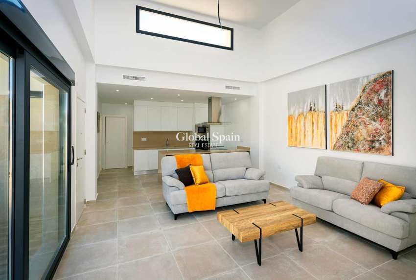 Nouvelle construction - Villa -
DAYA NUEVA