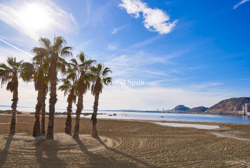 Nouvelle construction - VILLA -
ELCHE - Partida Barranquets