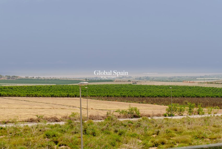 Nouvelle construction - Villa -
ORIHUELA COSTA - VISTABELLA GOLF