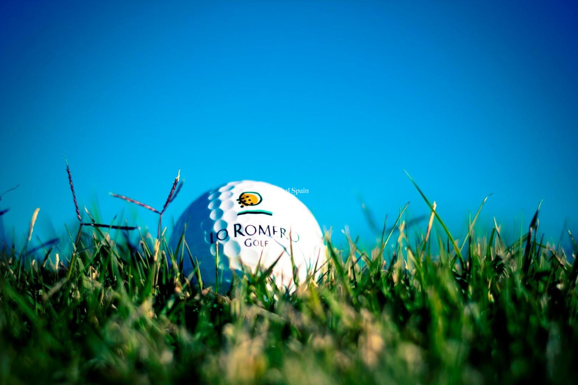 Nouvelle construction - Villa -
PILAR DE LA HORADADA - Lo Romero Golf