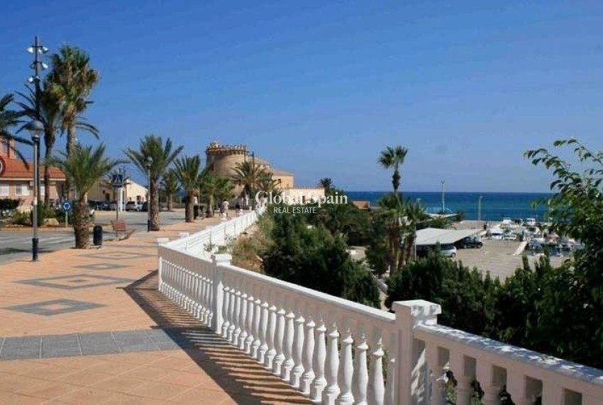 Nouvelle construction - Villa -
PILAR DE LA HORADADA - pueblo