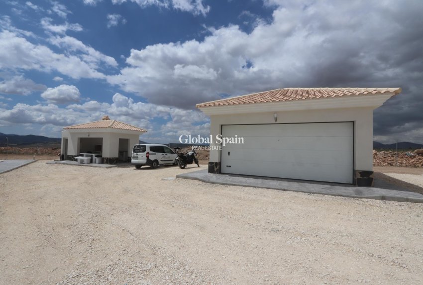 Nouvelle construction - Villa -
Pinoso - Camino Del Prado