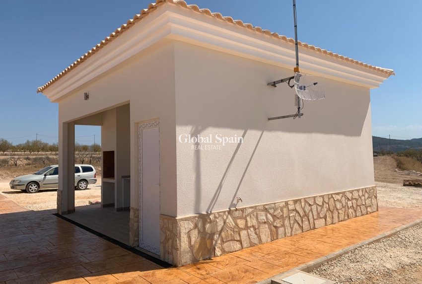 Nouvelle construction - Villa -
Pinoso - Camino Del Prado