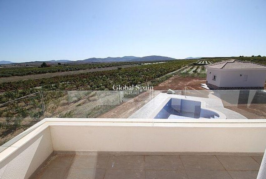 Nouvelle construction - Villa -
Pinoso - Camino Del Prado