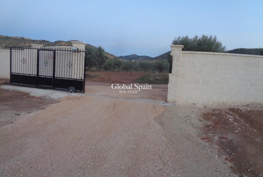 Nouvelle construction - Villa -
Pinoso - Camino Del Prado