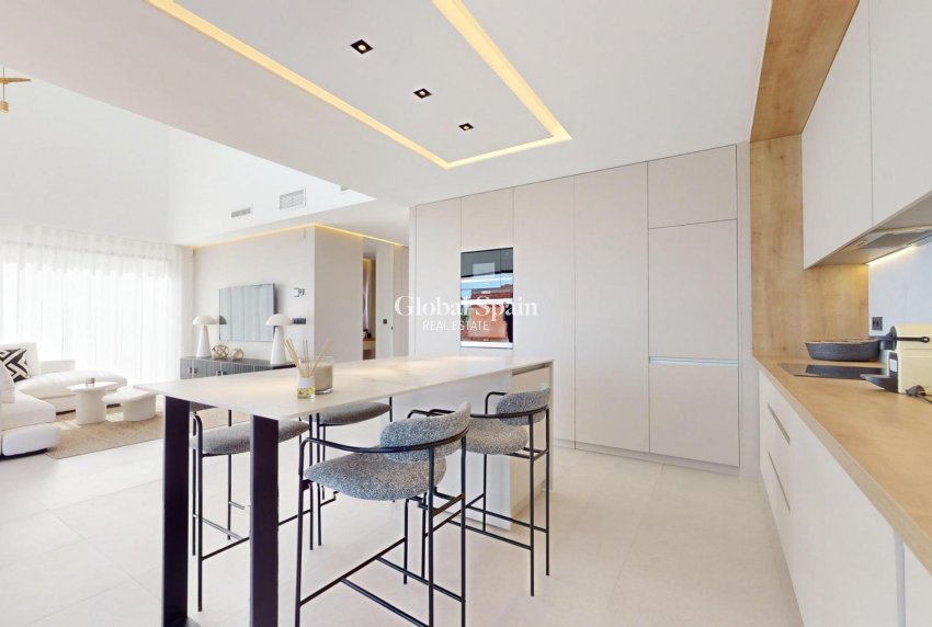 Nouvelle construction - Villa -
POLOP - PAU 1