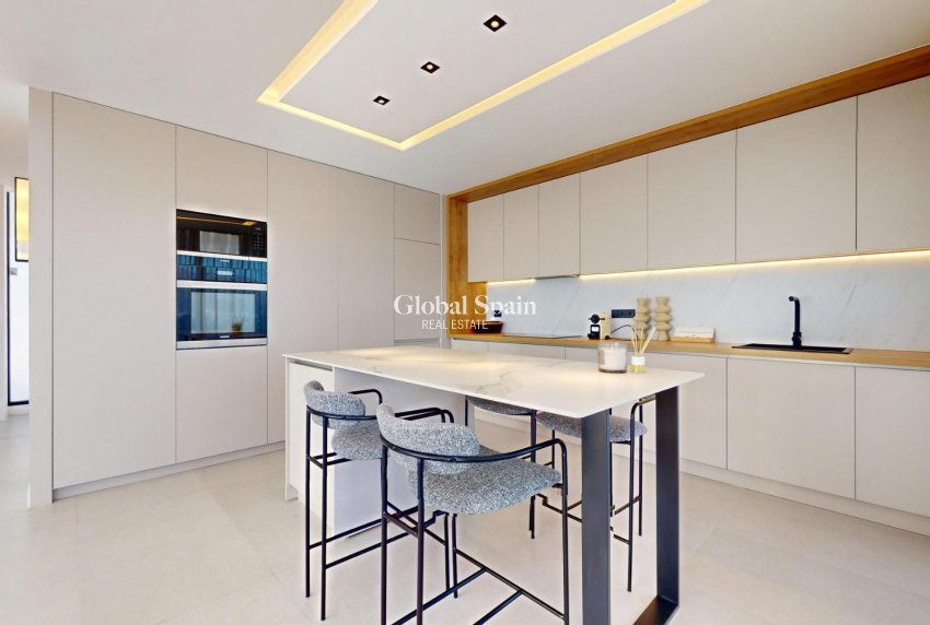 Nouvelle construction - VILLA -
POLOP - PAU 1