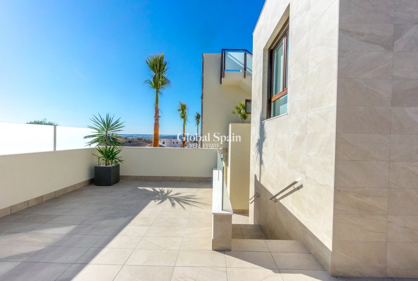 Nouvelle construction - VILLA -
ROJALES