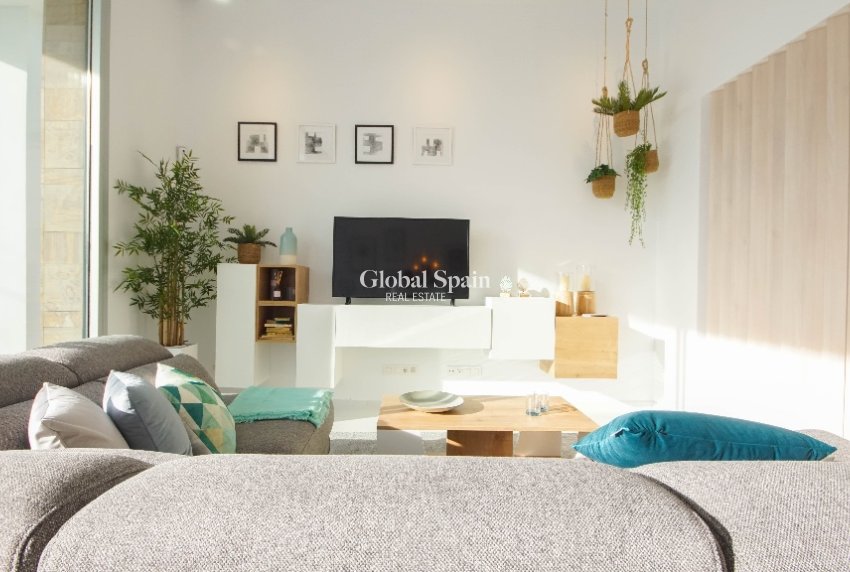 Nouvelle construction - Villa -
TORREVIEJA - Torrevieja