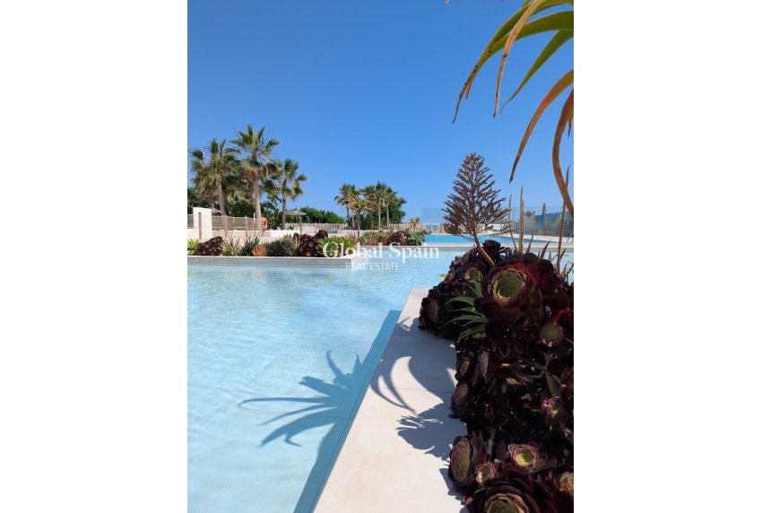 Nowo zbudowane - Apartament -
DENIA