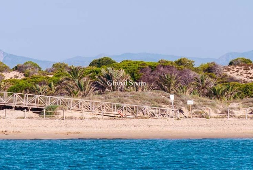 Nowo zbudowane - Apartament -
GUARDAMAR DEL SEGURA