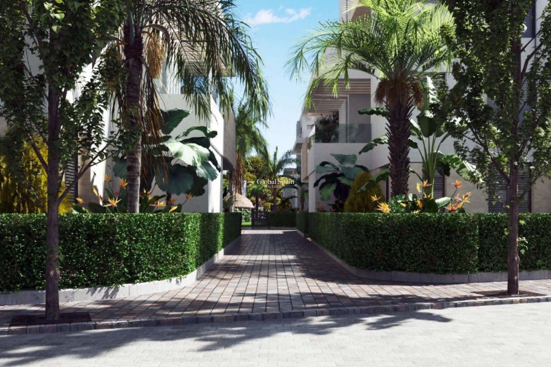 Nowo zbudowane - Apartament -
LOS ALCÁZARES