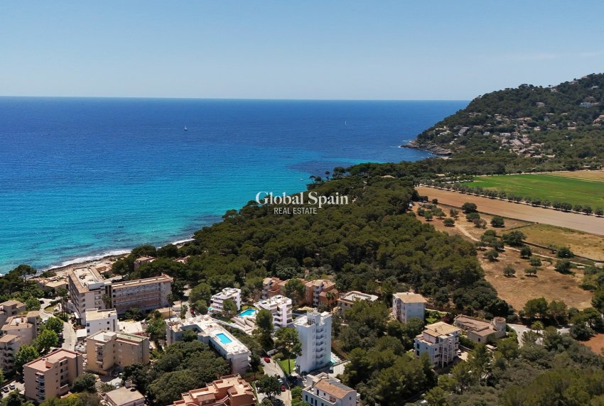 Nowo zbudowane - Apartament -
MANACOR - CAPDEPERA