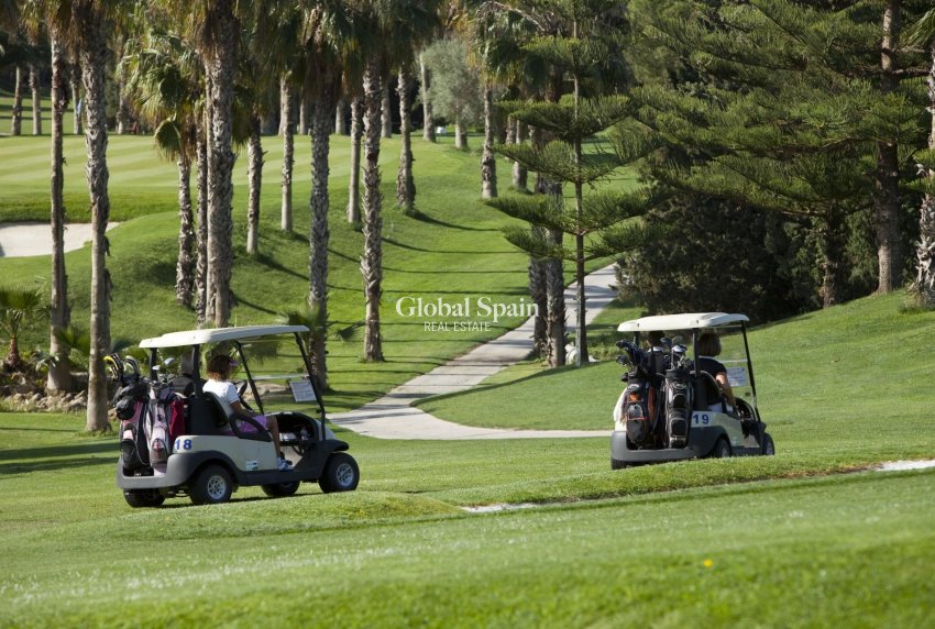 Nowo zbudowane - Apartament -
ORIHUELA COSTA - 