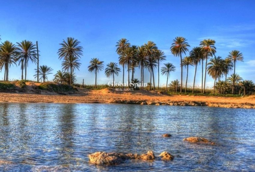 Nowo zbudowane - Daszek -
TORREVIEJA - 