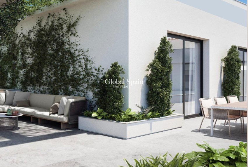 Nowo zbudowane - Daszek -
TORREVIEJA - 