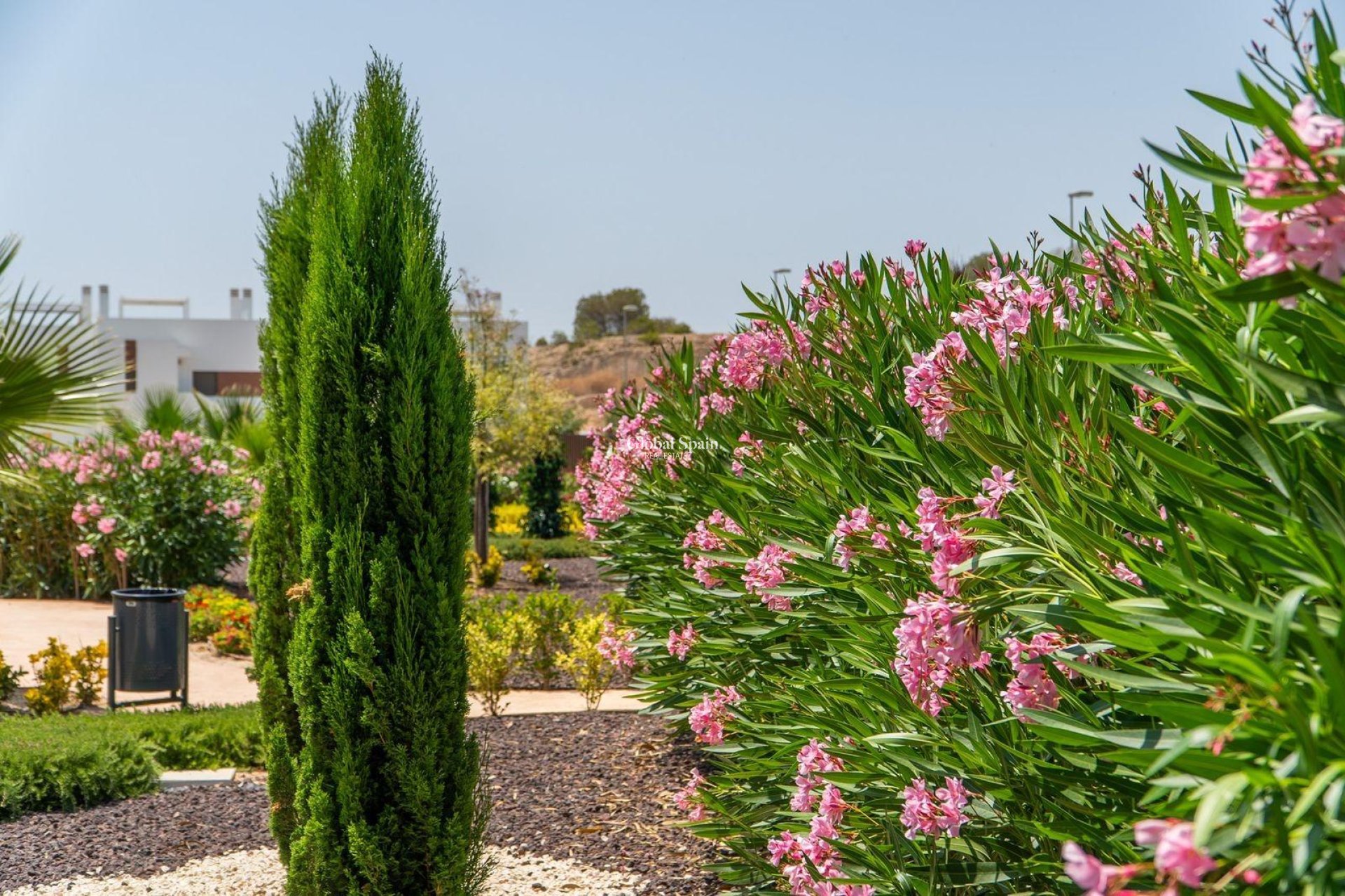 Nowo zbudowane - DOM -
ORIHUELA - Vistabella Golf