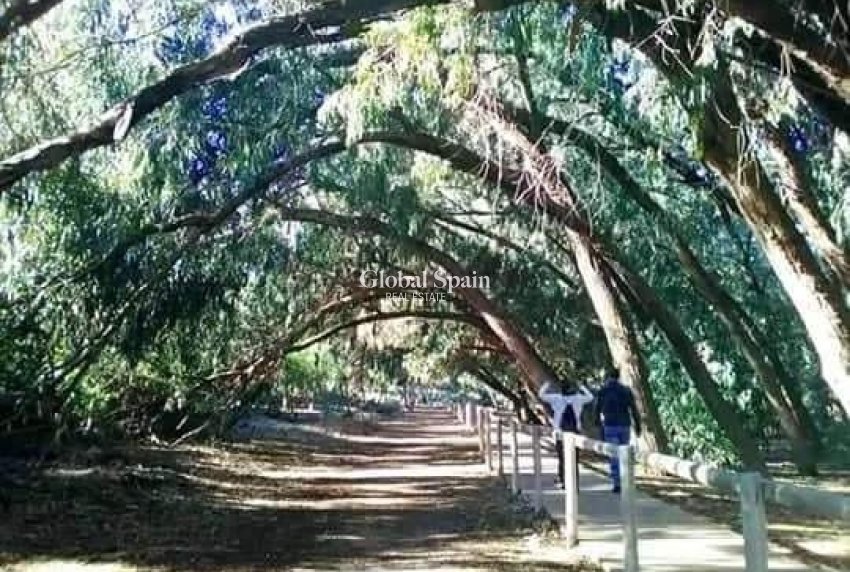 Nowo zbudowane - Dom -
TORREVIEJA - 