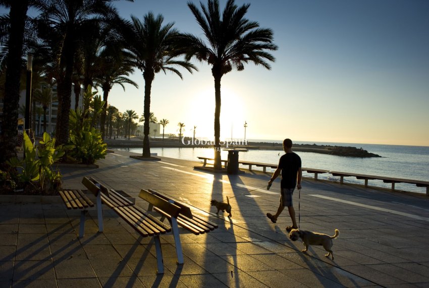 Nowo zbudowane - MIESZKANIE -
ORIHUELA COSTA - Punta Prima