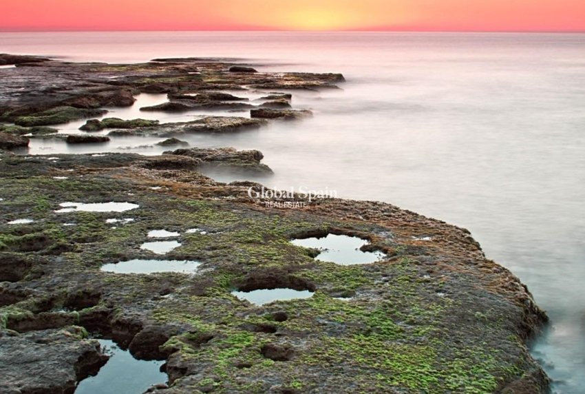 Nowo zbudowane - MIESZKANIE -
TORREVIEJA - 