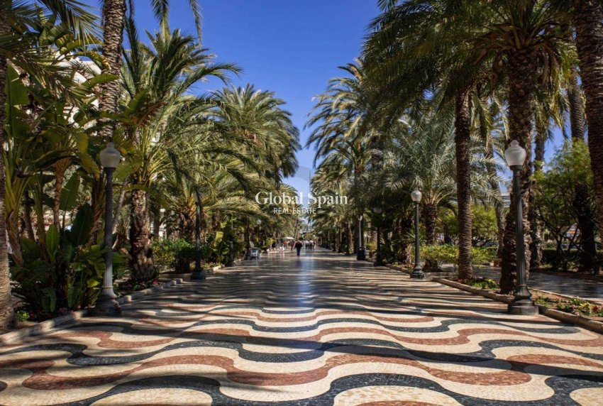 Nowo zbudowane - PENTHOUSE -
ALICANTE - Centro