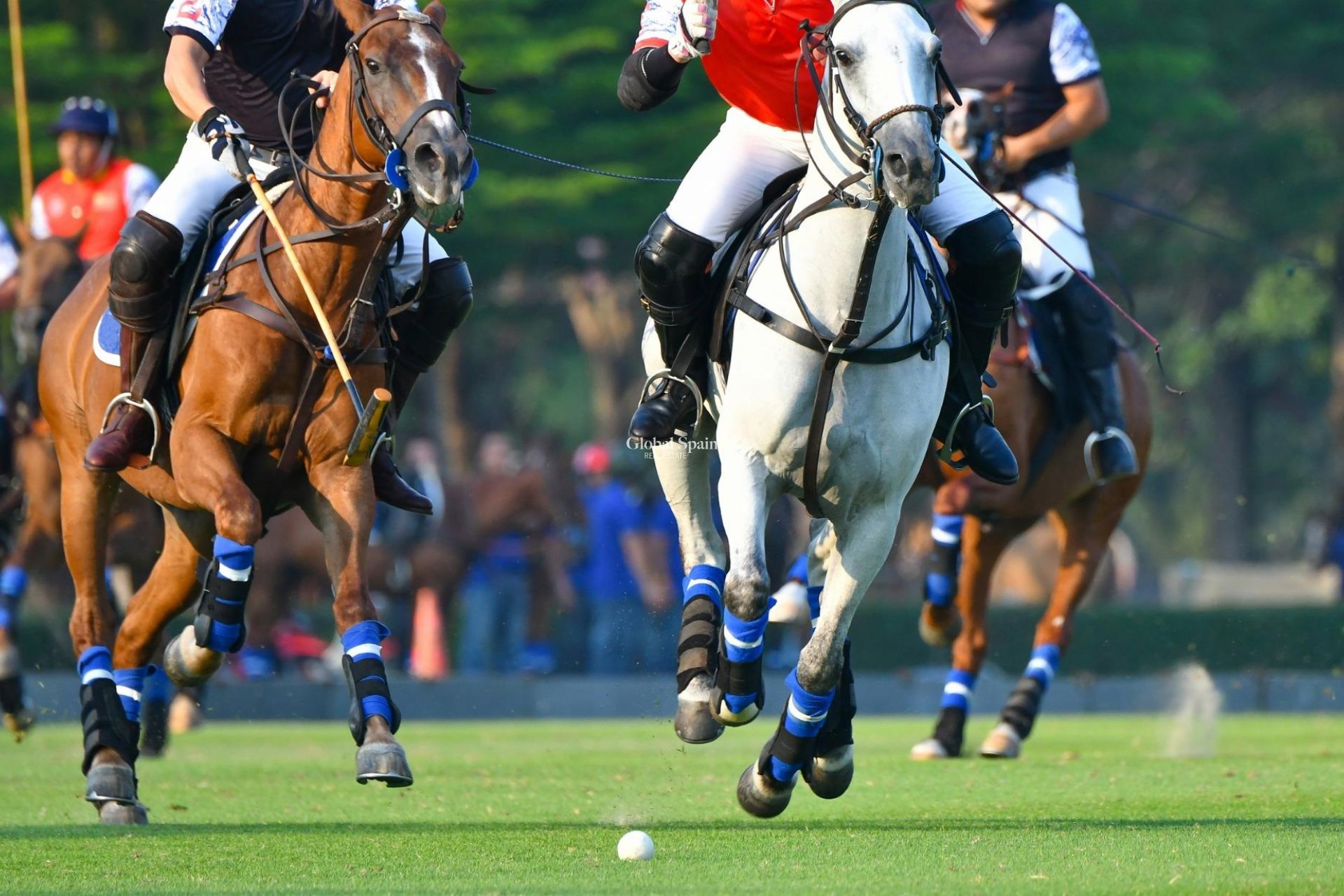 Nowo zbudowane - PENTHOUSE -
MANILVA - Bahia De Las Rocas