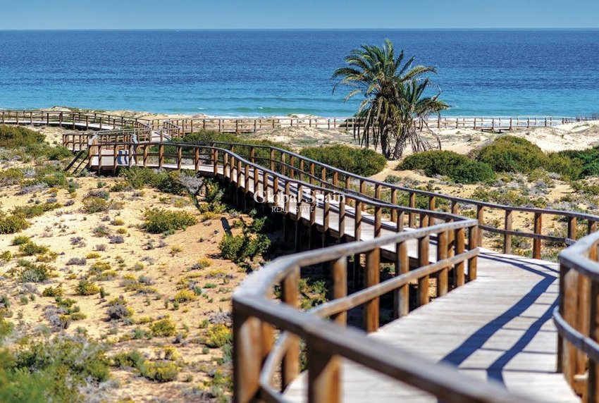 Nowo zbudowane - PENTHOUSE -
MONFORTE DEL CID - Alenda Golf