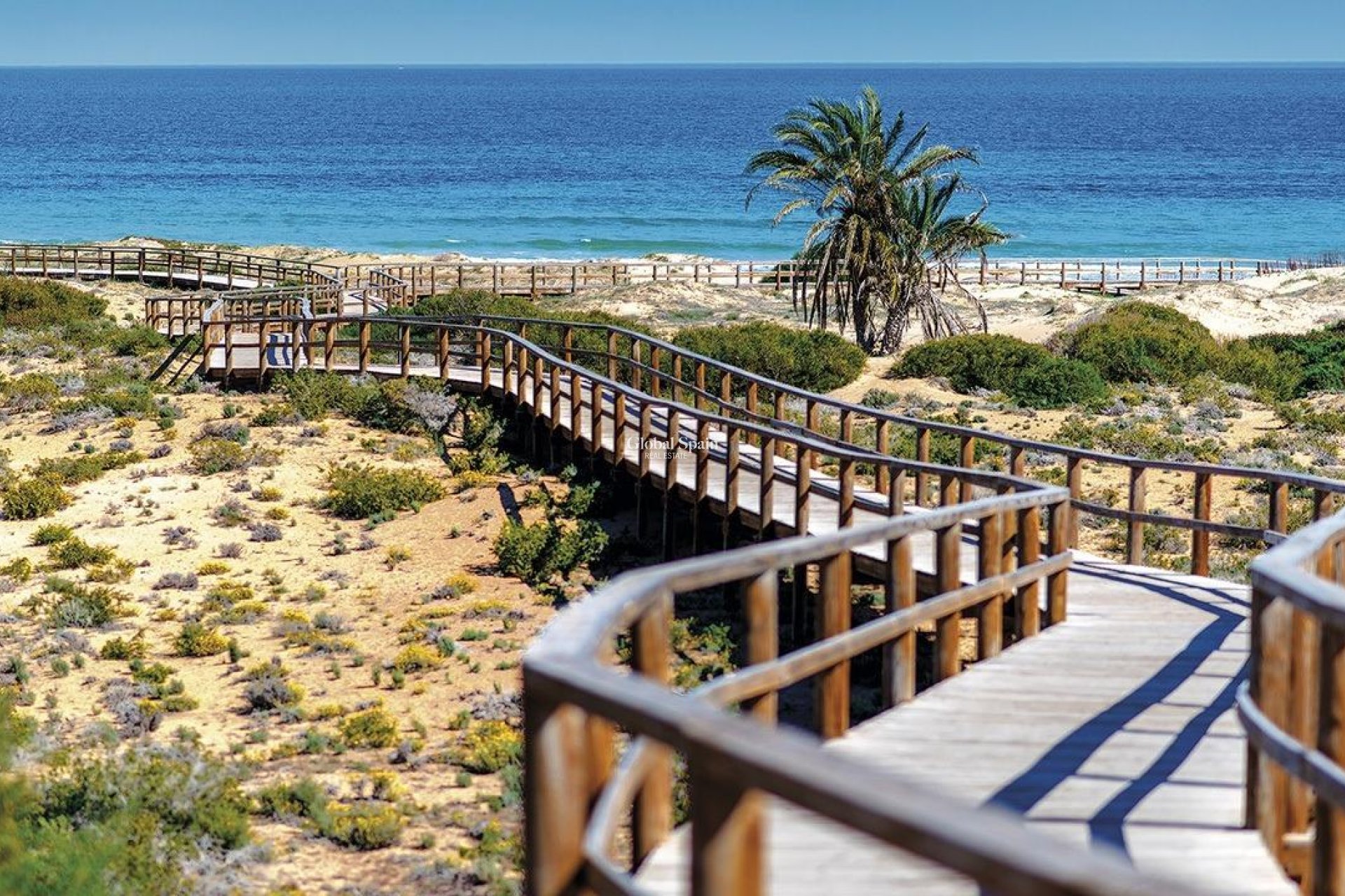 Nowo zbudowane - PENTHOUSE -
MONFORTE DEL CID - Alenda Golf