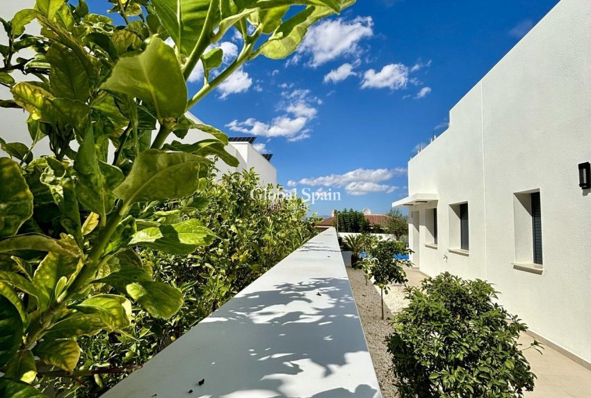 Nowo zbudowane - WILLA  -
BENIJÓFAR - Pueblo