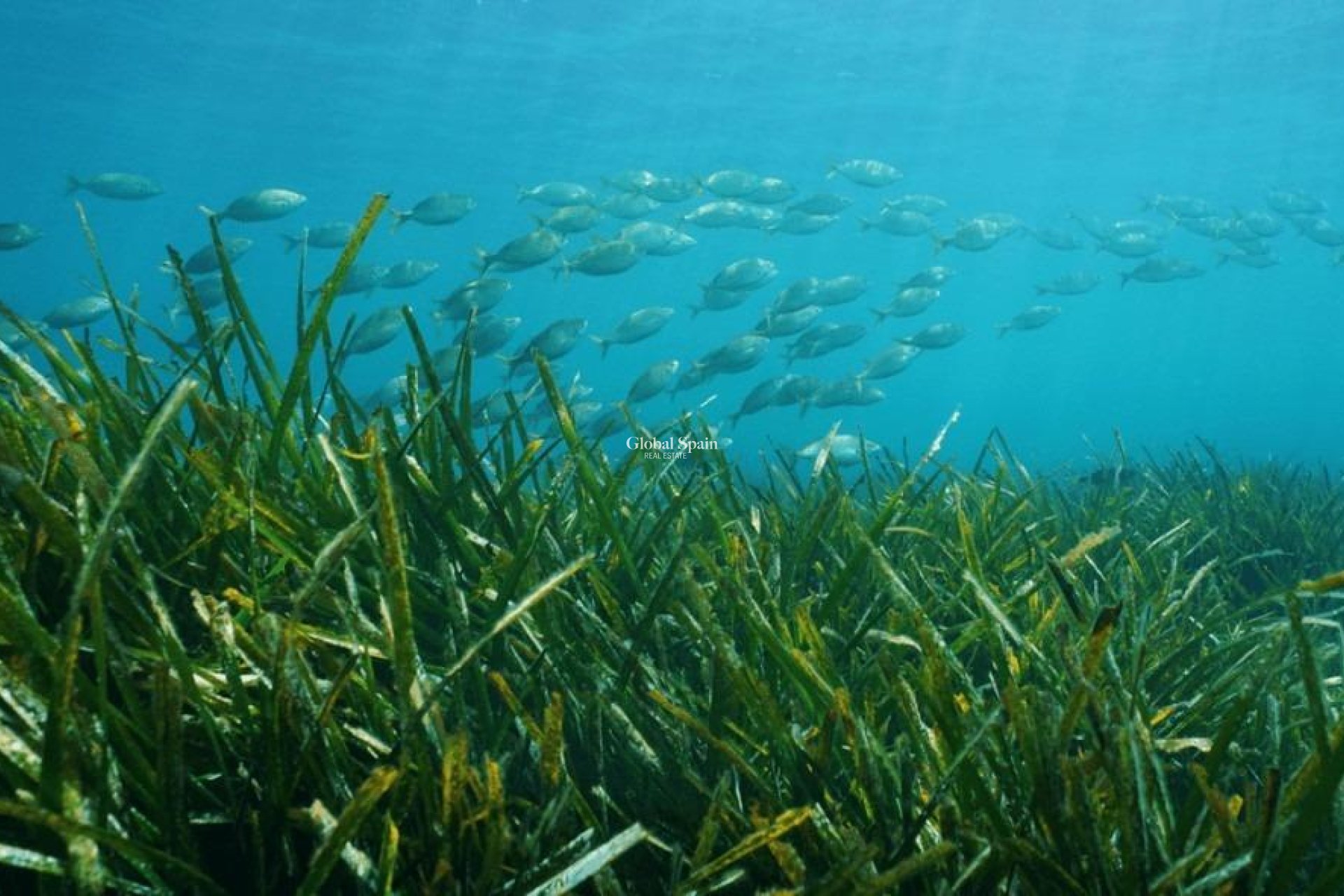 Nowo zbudowane - Willa -
Benissa - Racó Del Galeno