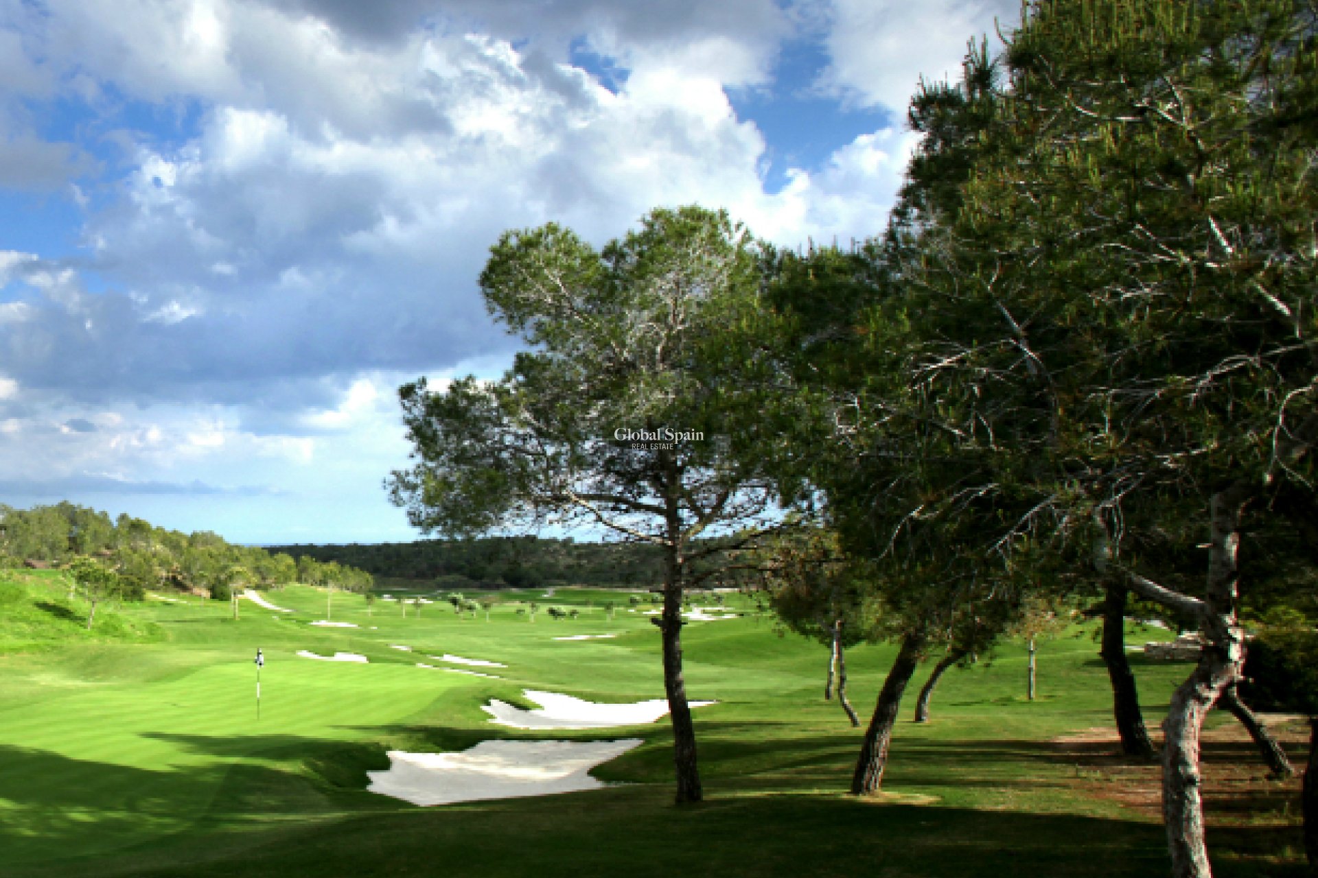 Nowo zbudowane - Willa -
LAS COLINAS GOLF RESORT - Las Colinas Golf