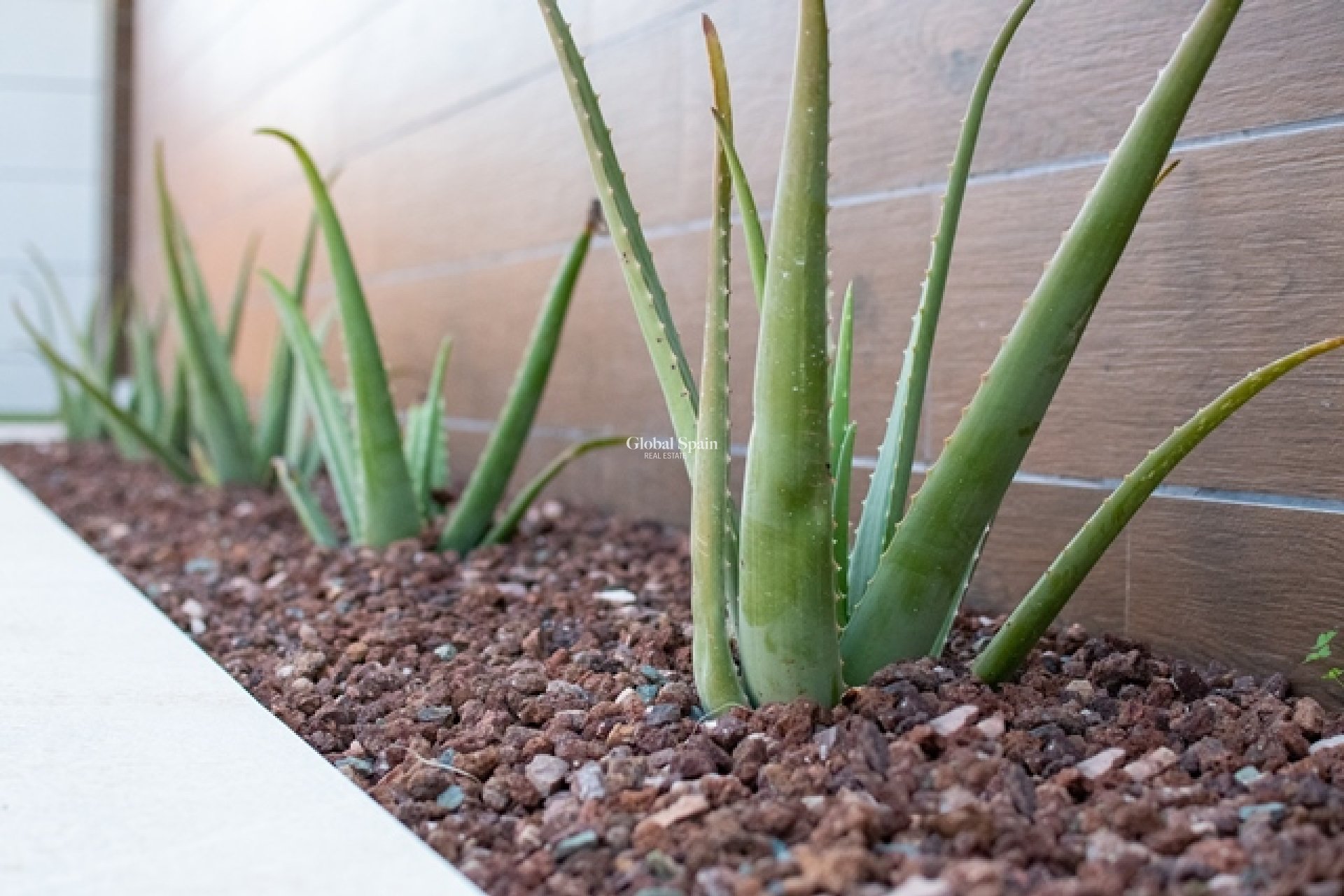 Nowo zbudowane - Willa -
LOS MONTESINOS - La Herrada