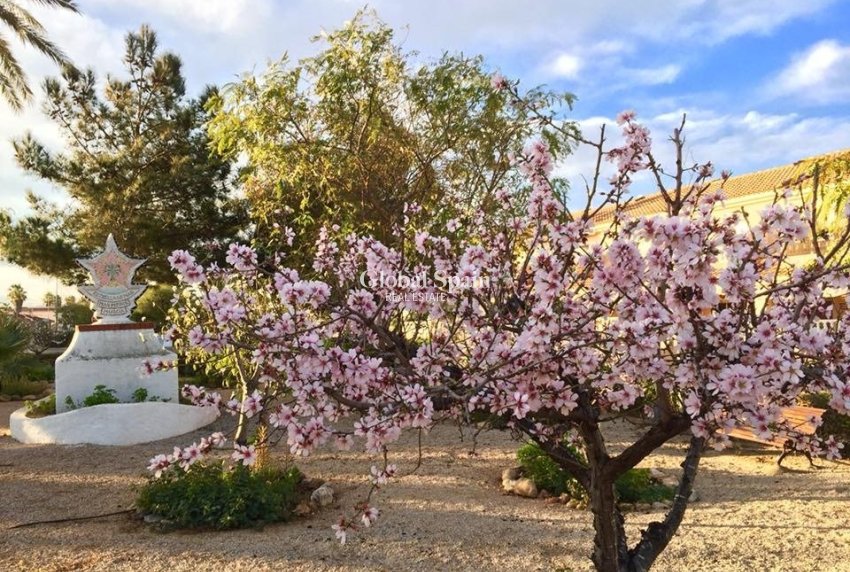 Nowo zbudowane - WILLA  -
Los Urrutias  - Estrella de Mar