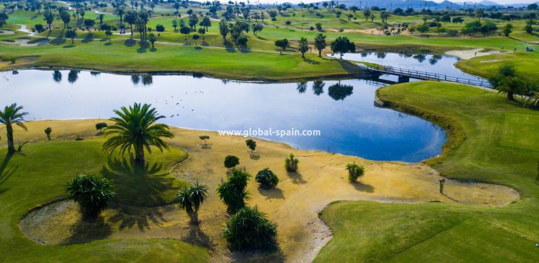 Nowo zbudowane - Willa - Orihuela - Vistabella Golf