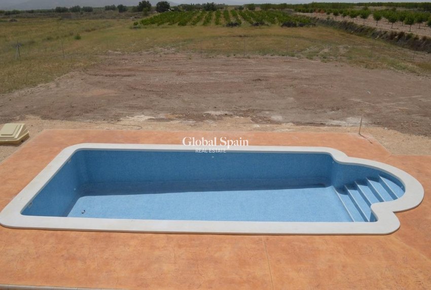 Nowo zbudowane - Willa -
Pinoso - 