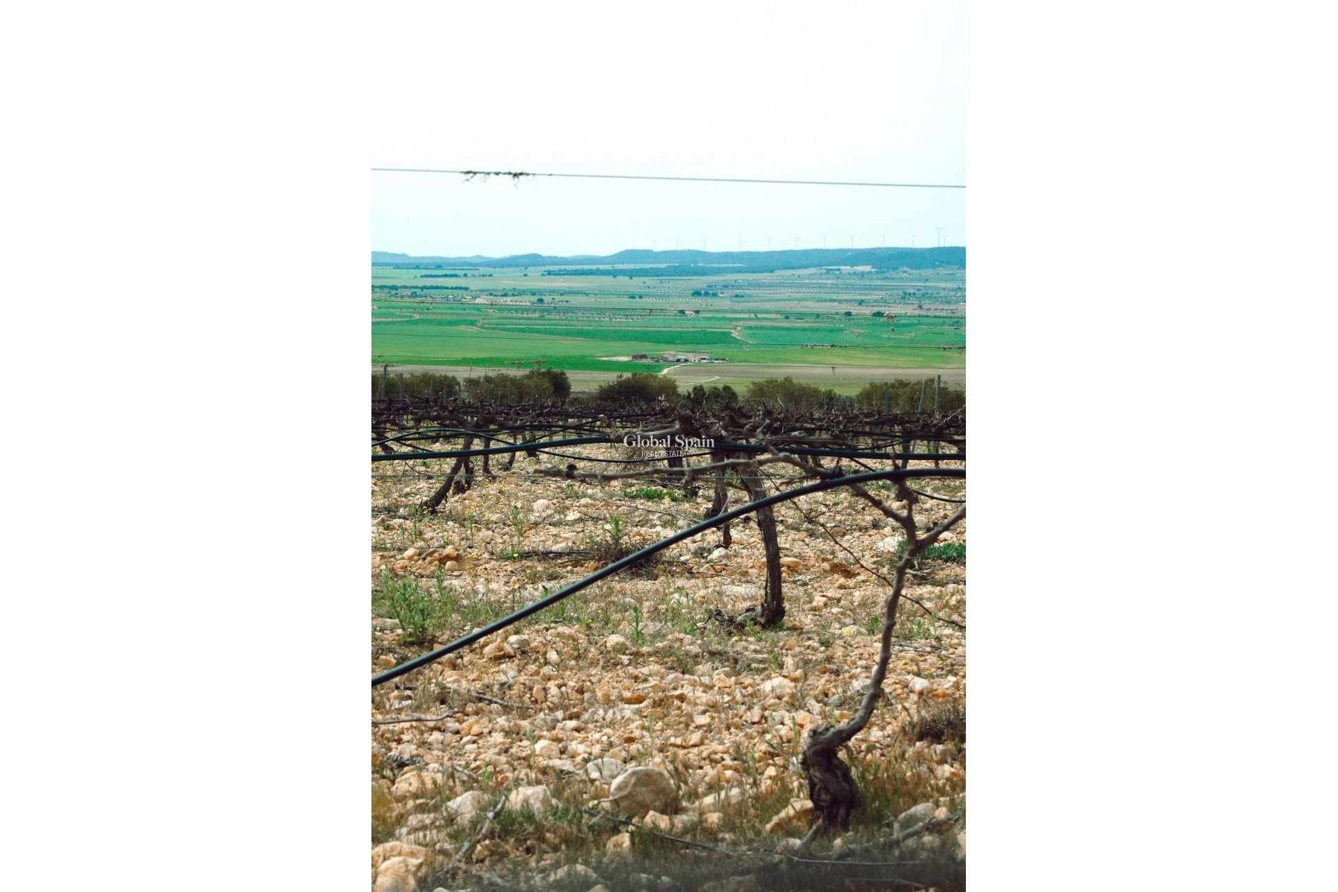 Nowo zbudowane - Willa -
Yecla