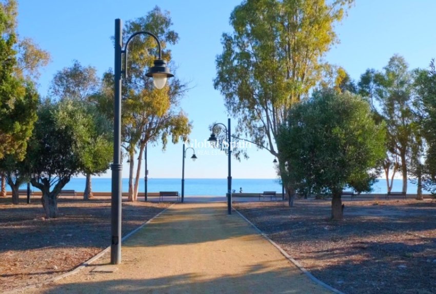 Nueva construcción  - Apartamento -
BENIDORM - Alicante