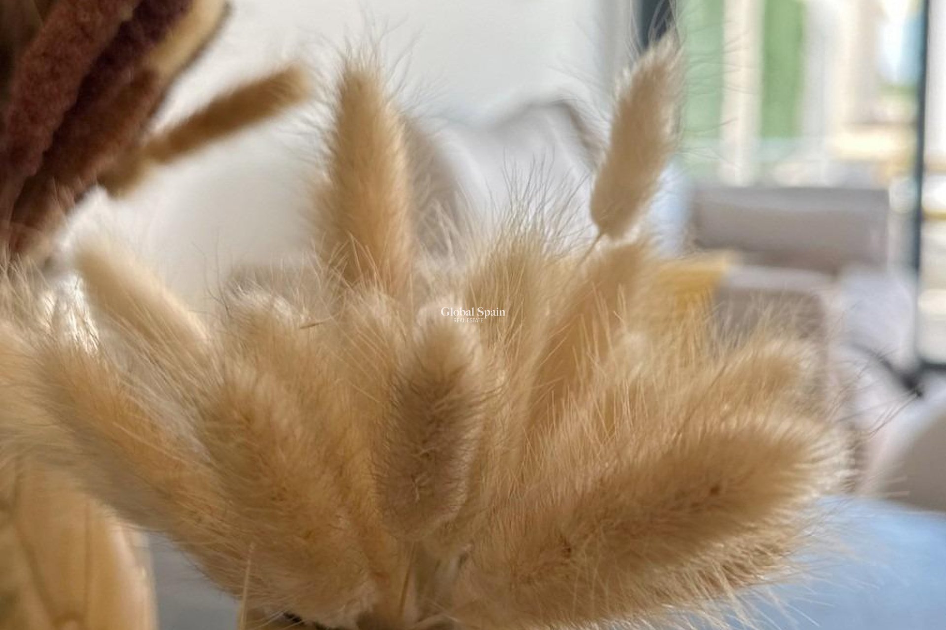 Nueva construcción  - APARTAMENTO -
SAN FULGENCIO - Pueblo