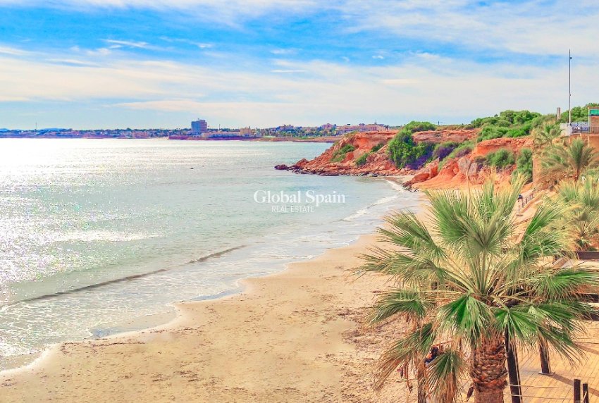 Nueva construcción  - Apartamento -
TORREVIEJA - Torrevieja