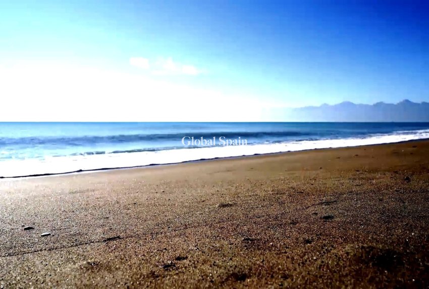 Nueva construcción  - Atico -
TORREVIEJA - Center