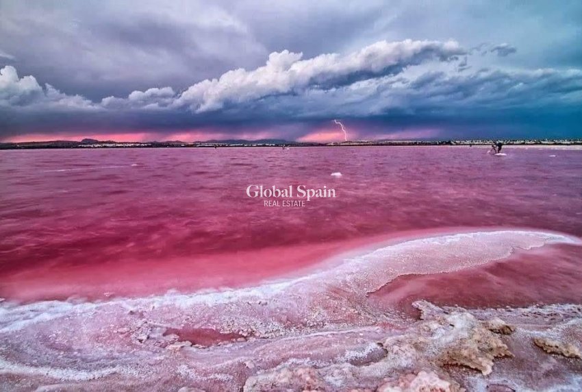 Nueva construcción  - Atico -
TORREVIEJA - Center