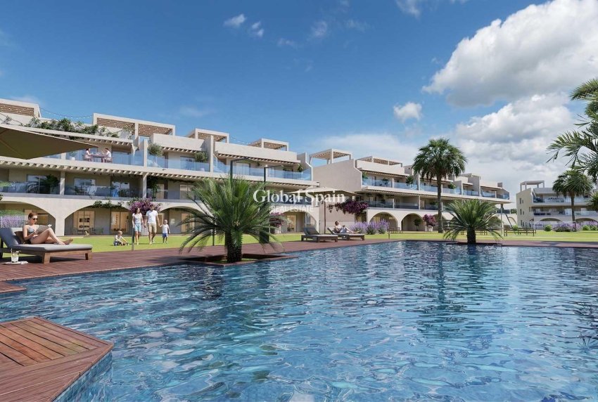 Nueva construcción  - ÁTICO -
VERA - Vera Playa