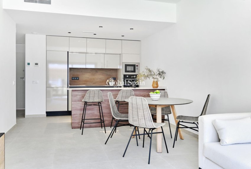 Nueva construcción  - Casa -
TORREVIEJA - Villa Amalia